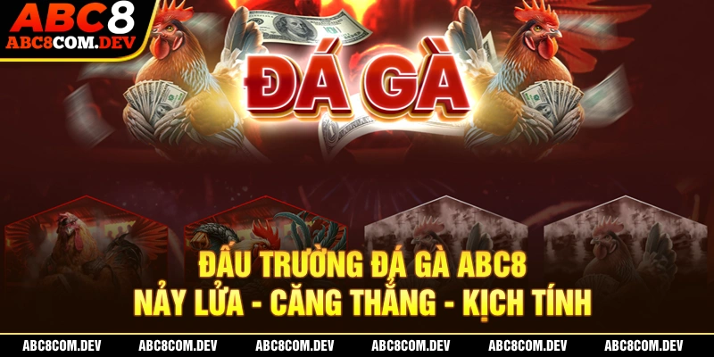 Đá gà đổi thưởng tại nhà cái ABC8